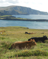 new/valentiaisland7.jpg