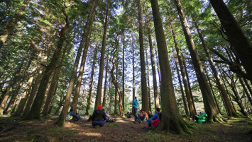 Ireland Through the Seasons