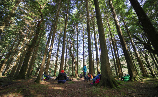 Ireland Through the Seasons